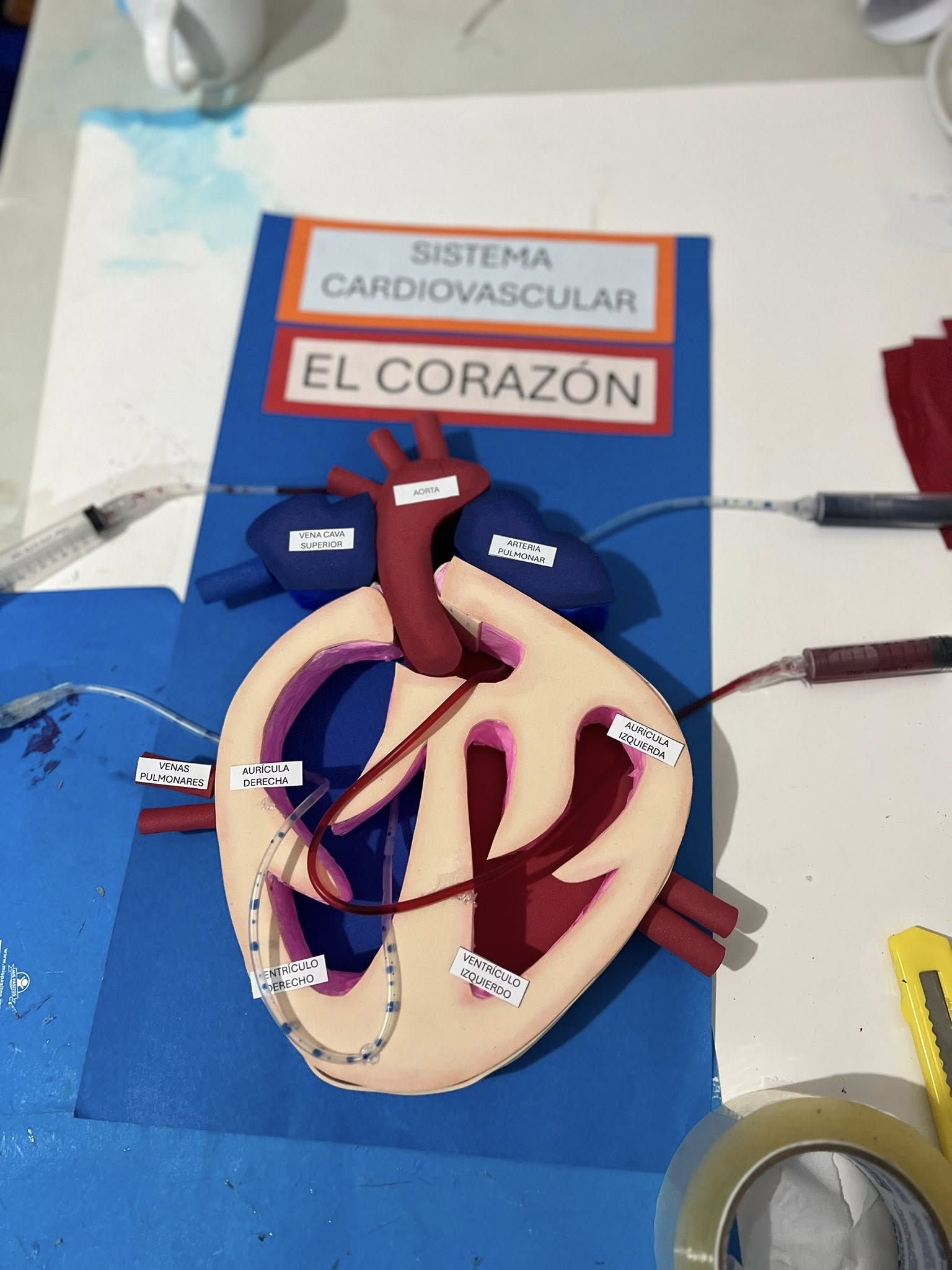 Trabajo realizado por Material Educativo - Material Educativo